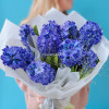 Букет из 9 синих гиацинтов
