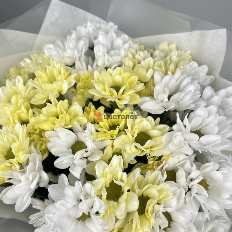 Счастливый момент 