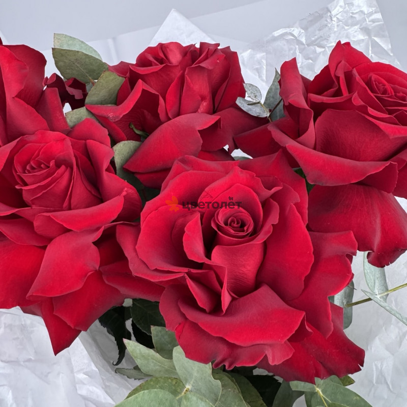 Загадка любви 