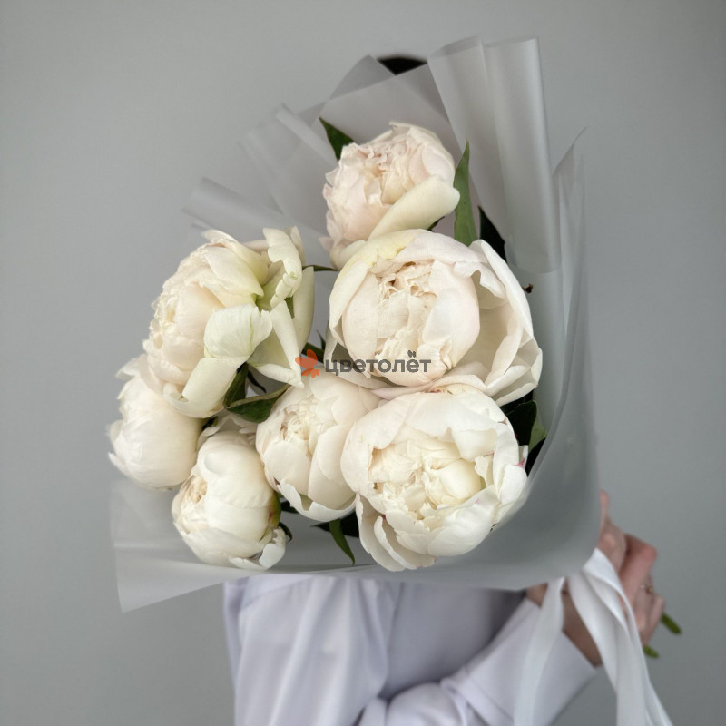 Летние грезы