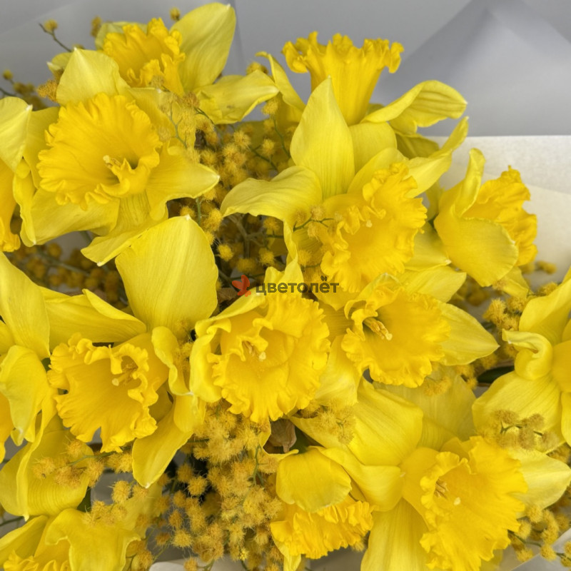 Букет с нарциссами и мимозой