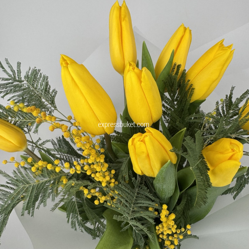 Солнечный март