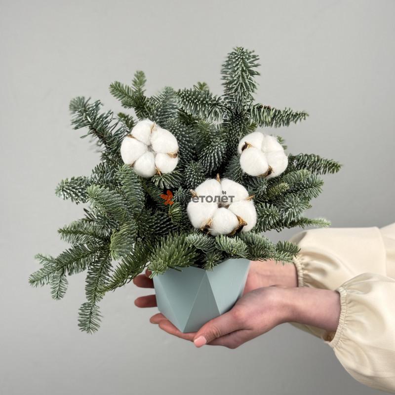Новогодняя композиция в кашпо