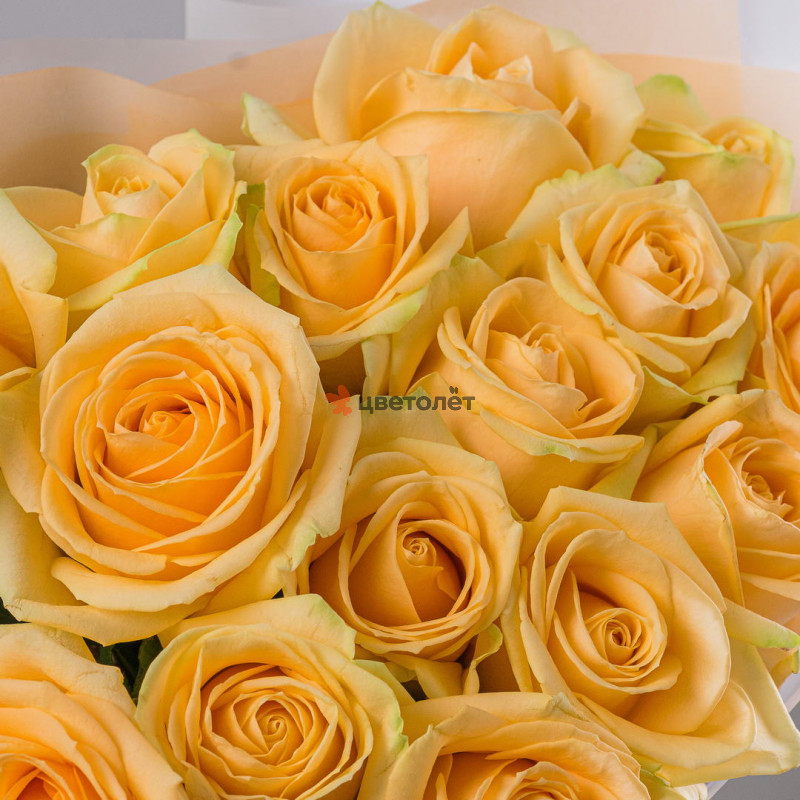 15 роз Пич Аваланж