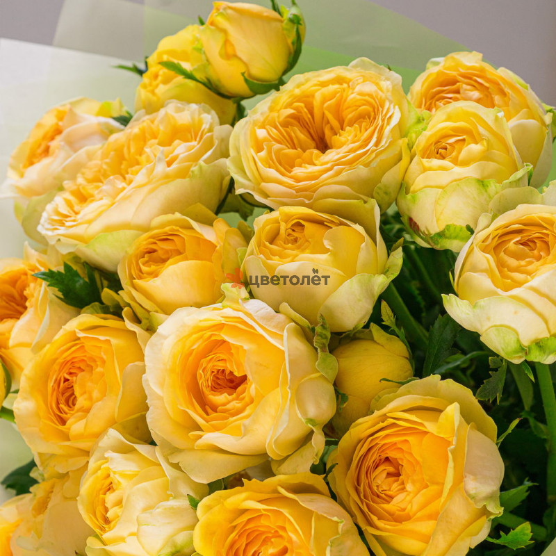 Любовь в каждом лепестке