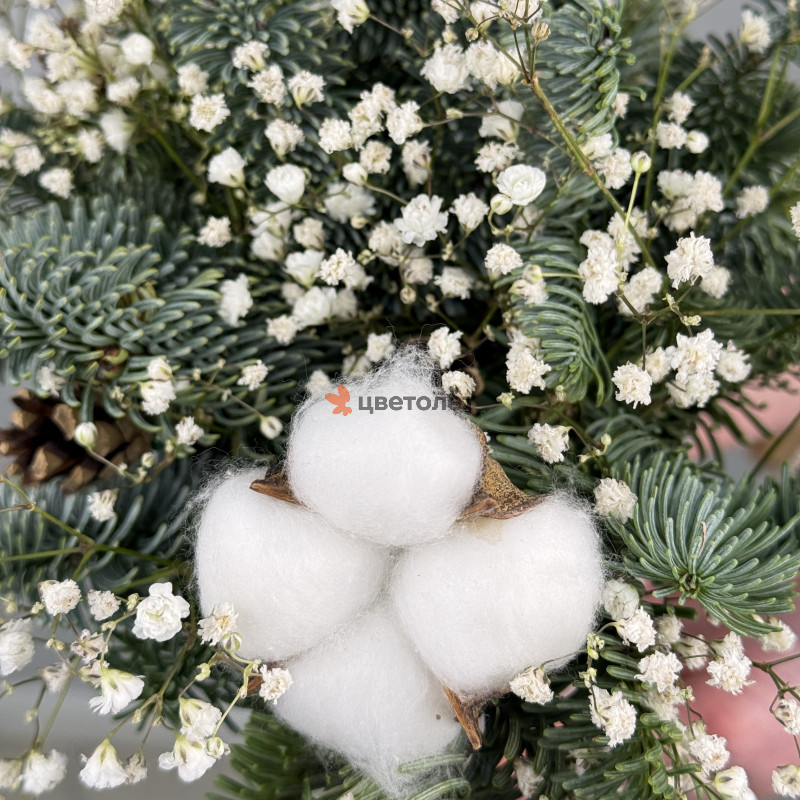 Белоснежная сказка